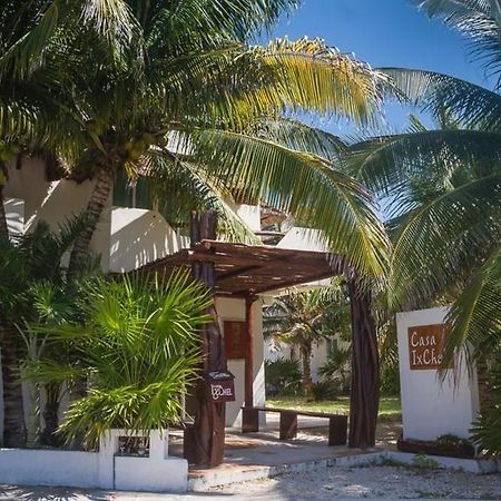 イスラ・ムヘーレス Casa Ixchelアパートホテル エクステリア 写真